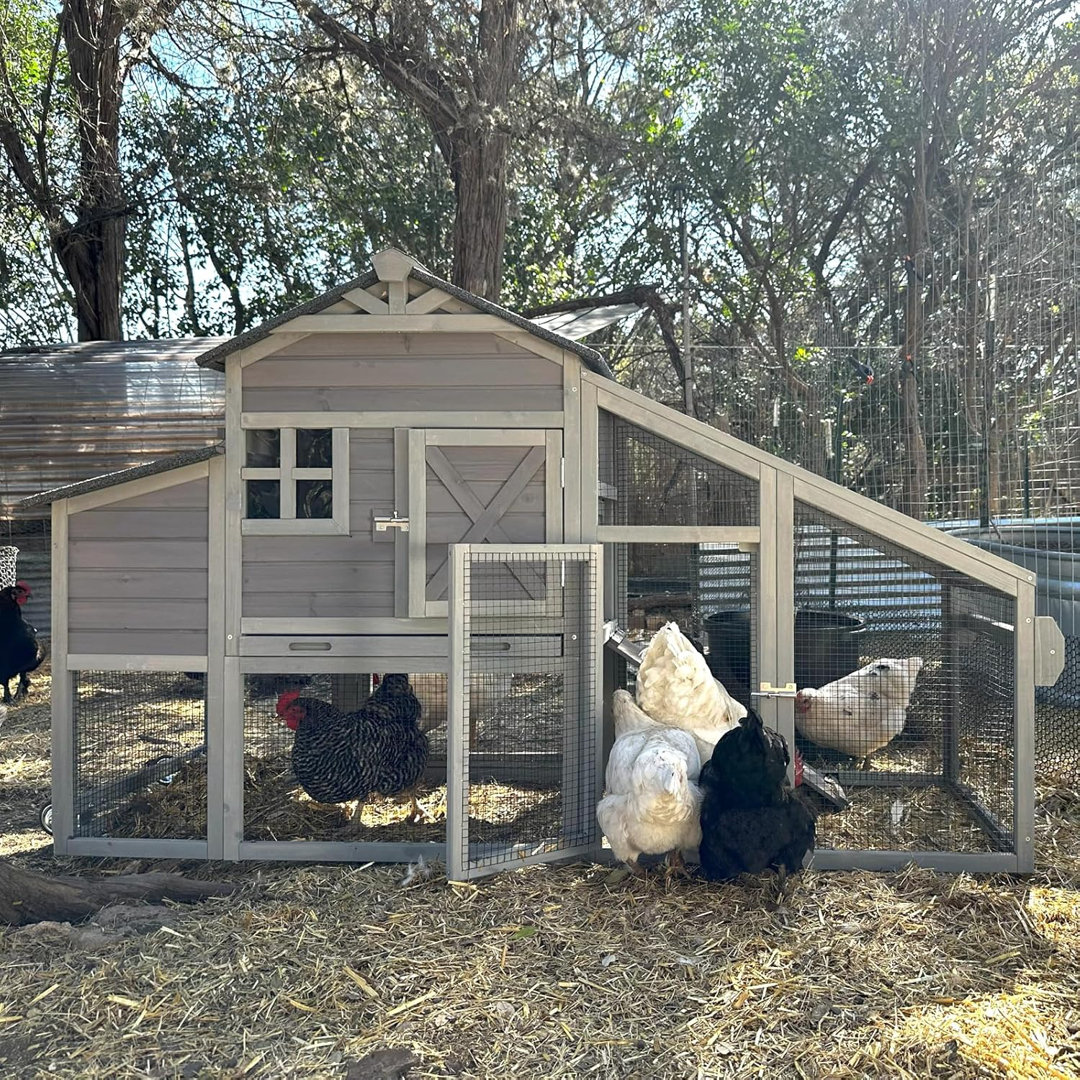 17.1 Square Feet Chicken Coop